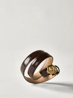 Ceintures>Rouje Ceinture ROSO Chocolat