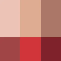 La Palette Visage>Rouje La Palette Visage Tortoise