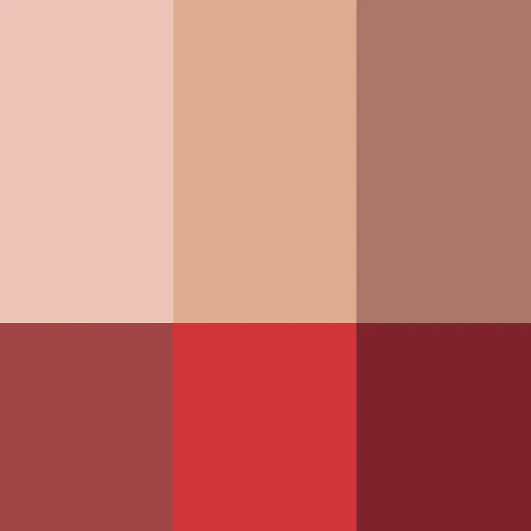 La Palette Visage>Rouje La Palette Visage Tortoise